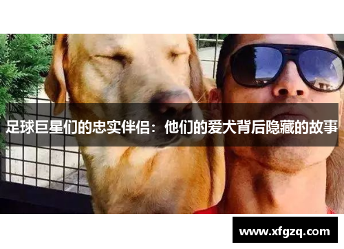 足球巨星们的忠实伴侣：他们的爱犬背后隐藏的故事